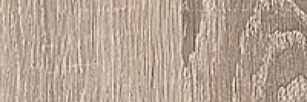Sonoma eiken grijs
